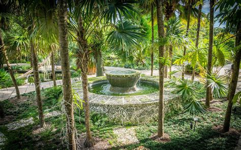 Miami beach botanical gardens - Miami Beach Botanical Garden, Miami Beach, Florida. 9,335 likes · 175 talking about this · 37,201 were here. Welcome to Miami Beach Botanical Garden – a 3-acre subtropical garden and event space in...